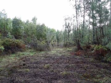 Terreno Agricola ou Rústico para Venda em Sarzedas