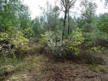 Terreno Agricola ou Rústico para Venda em Sarzedas