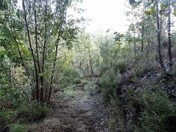 Terreno Agricola ou Rústico para Venda em Sarzedas