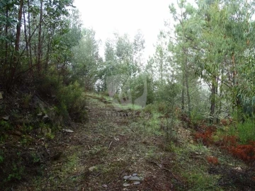 Terreno Agricola ou Rústico para Venda em Sarzedas