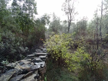 Terreno Agricola ou Rústico para Venda em Sarzedas