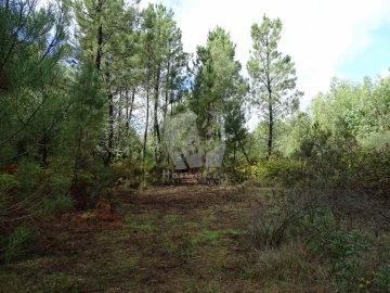 Terreno Agricola ou Rústico para Venda em Sarzedas