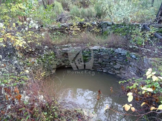 Terreno Agricola ou Rústico para Venda em Sarzedas Foto 4