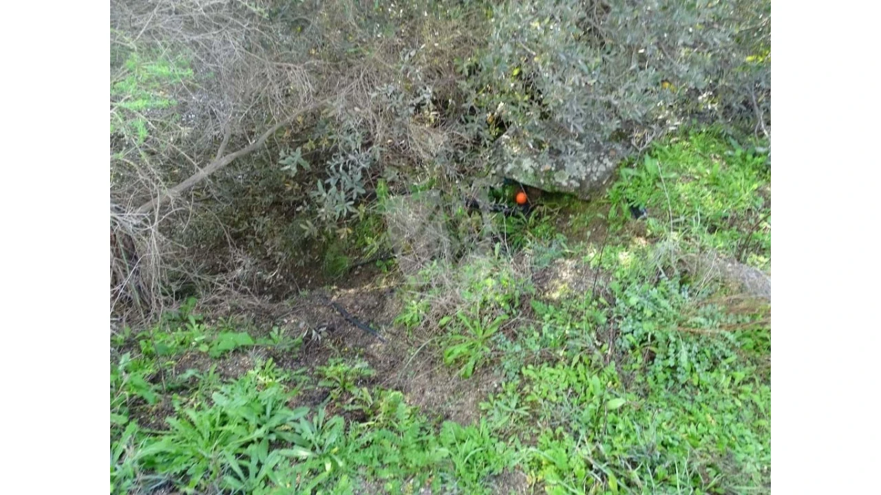 Negócio para Venda em São Miguel de Acha Foto 24