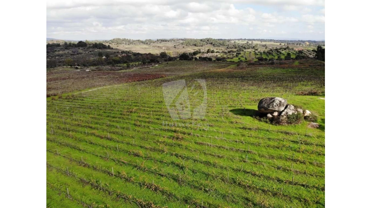 Negócio para Venda em São Miguel de Acha Foto 13