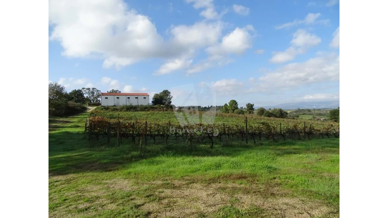 Negócio para Venda em São Miguel de Acha Foto 23