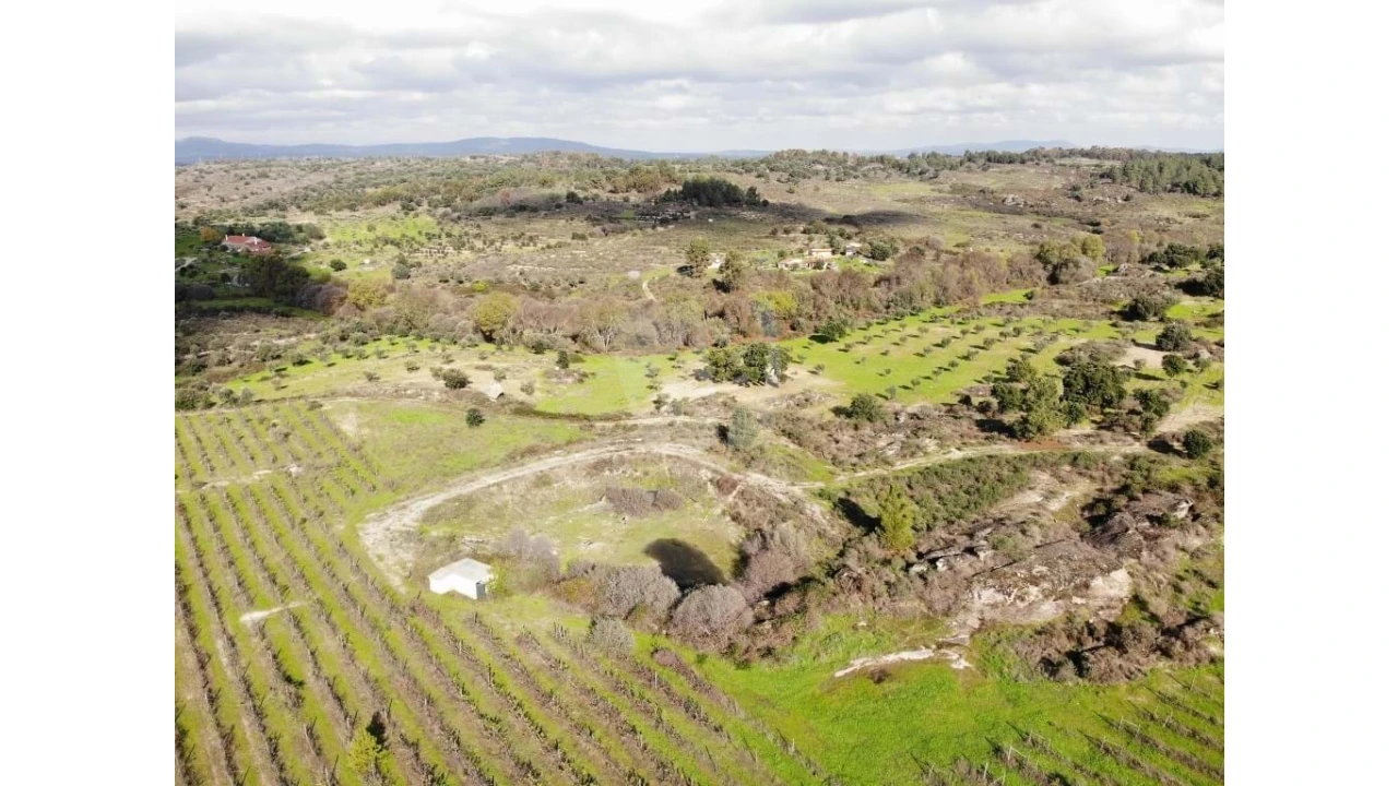 Negócio para Venda em São Miguel de Acha Foto 9