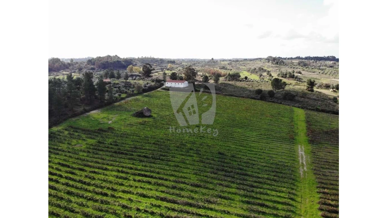 Negócio para Venda em São Miguel de Acha Foto 8