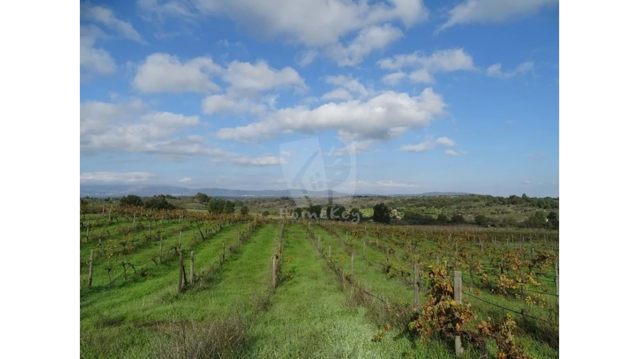 Negócio para Venda em São Miguel de Acha Foto 22