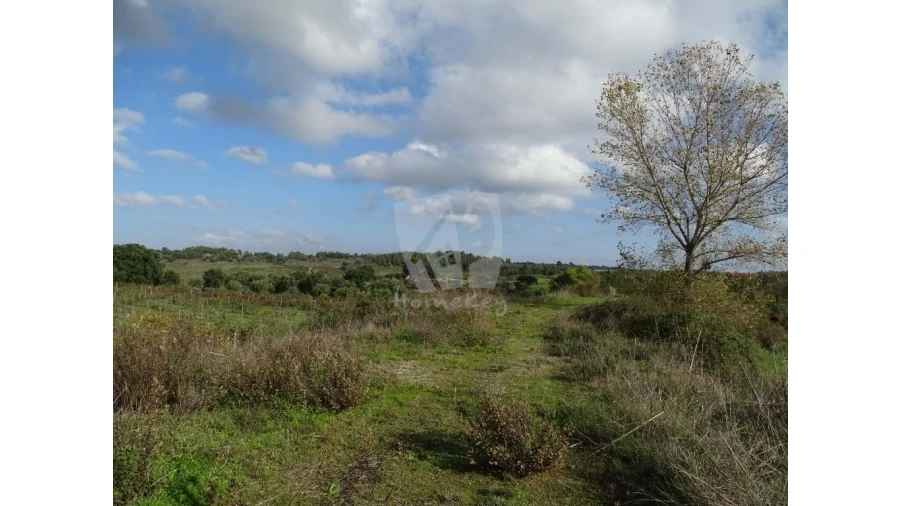 Negócio para Venda em São Miguel de Acha Foto 26