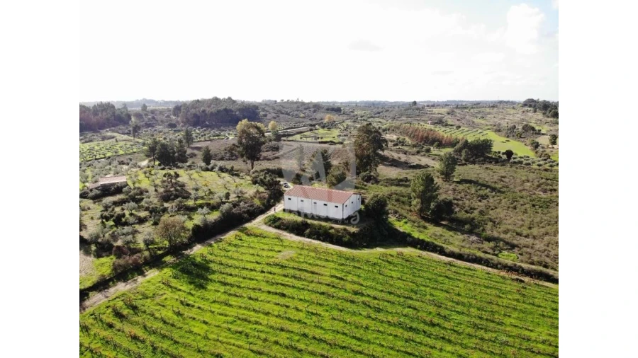Negócio para Venda em São Miguel de Acha Foto 11