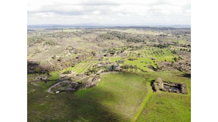 Negócio para Venda em São Miguel de Acha Foto 5
