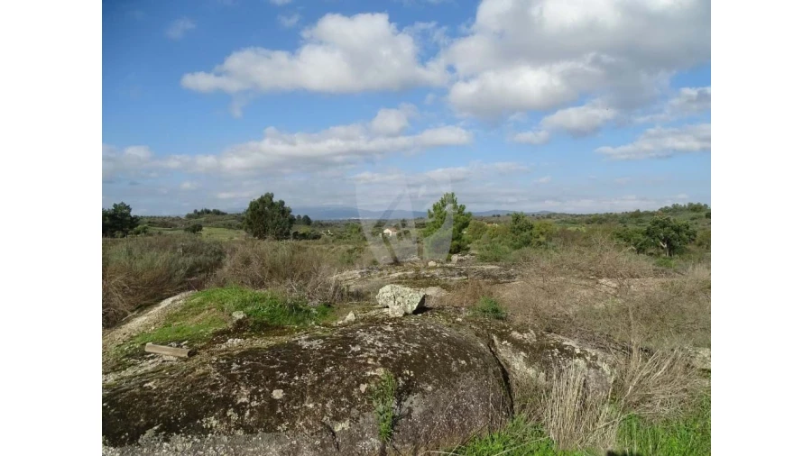 Negócio para Venda em São Miguel de Acha Foto 27