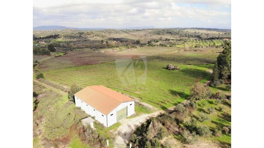 Negócio para Venda em São Miguel de Acha Foto 14