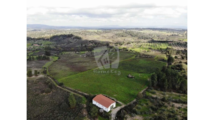 Negócio para Venda em São Miguel de Acha Foto 4