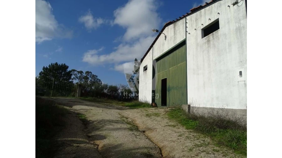 Negócio para Venda em São Miguel de Acha Foto 15