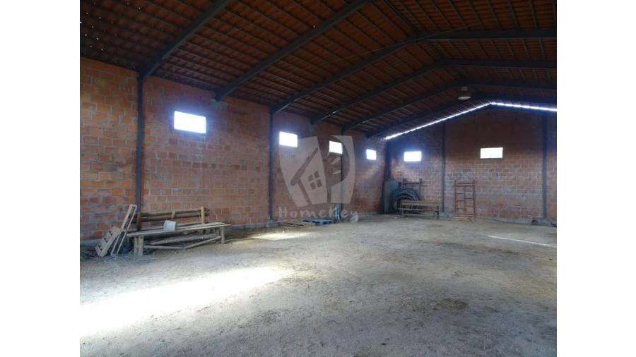 Negócio para Venda em São Miguel de Acha Foto 16