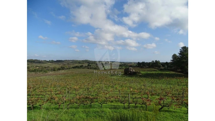 Negócio para Venda em São Miguel de Acha Foto 20