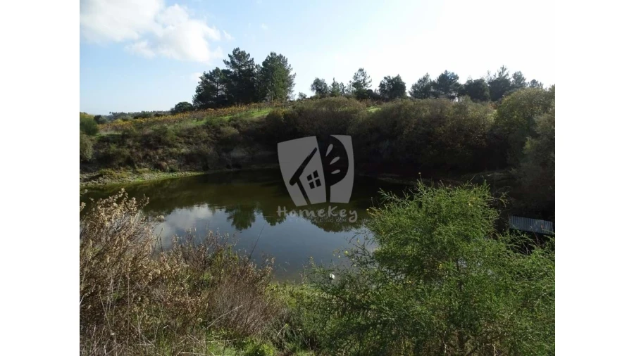 Negócio para Venda em São Miguel de Acha Foto 25