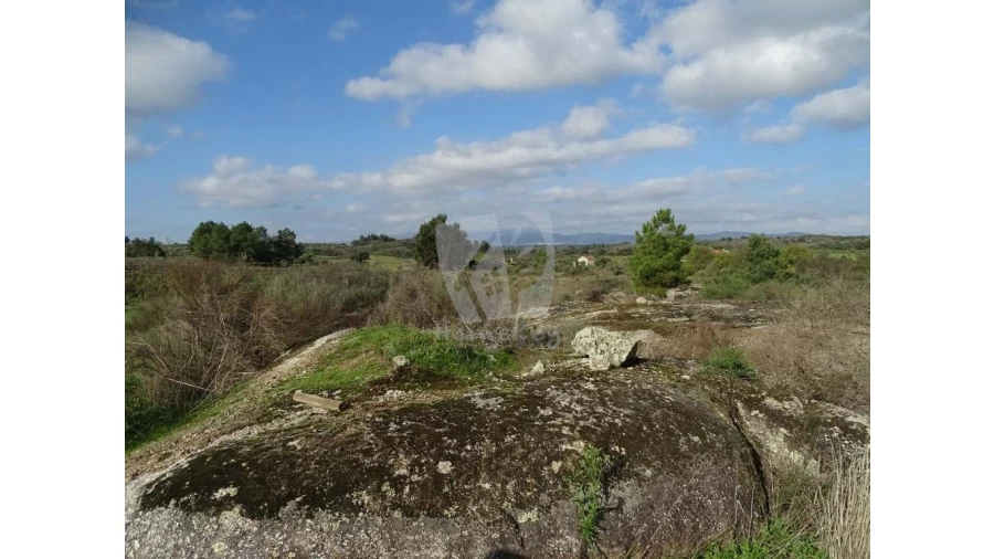 Negócio para Venda em São Miguel de Acha Foto 28