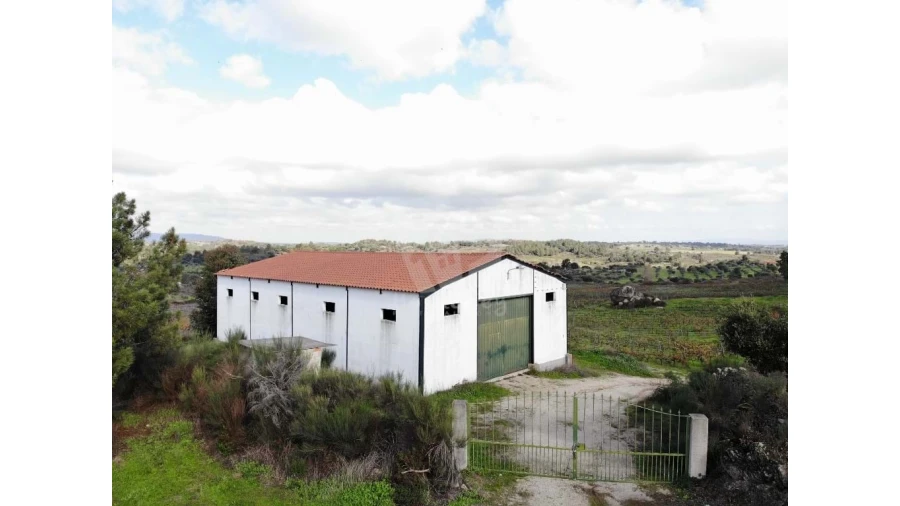 Negócio para Venda em São Miguel de Acha Foto 3