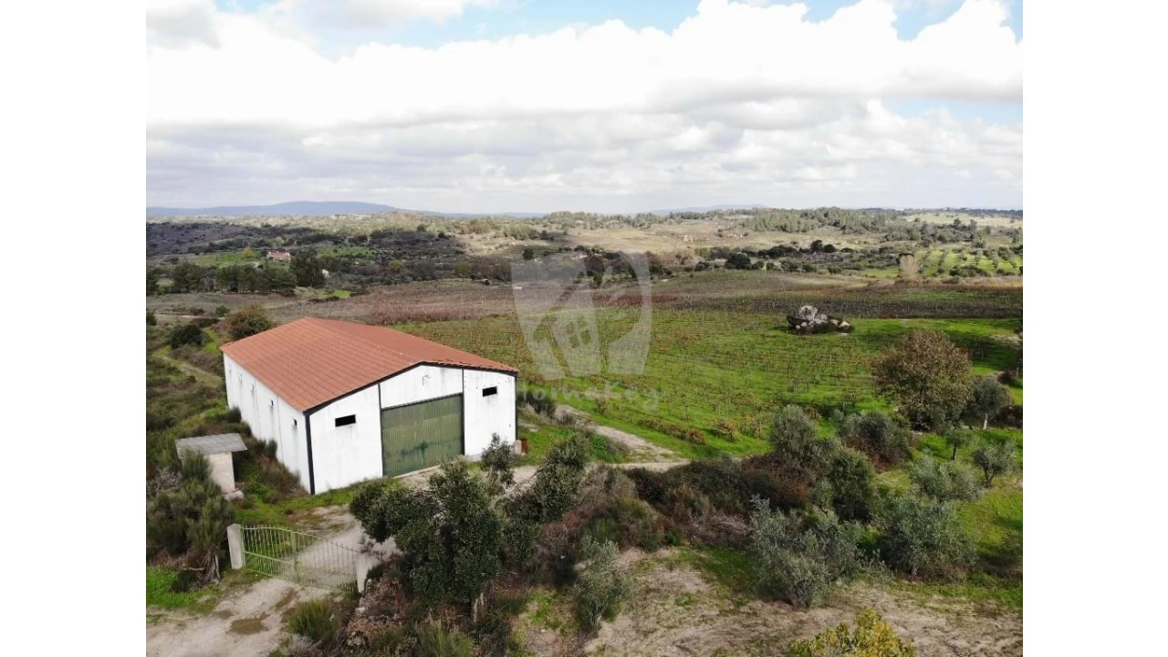 Negócio para Venda em São Miguel de Acha Foto 2