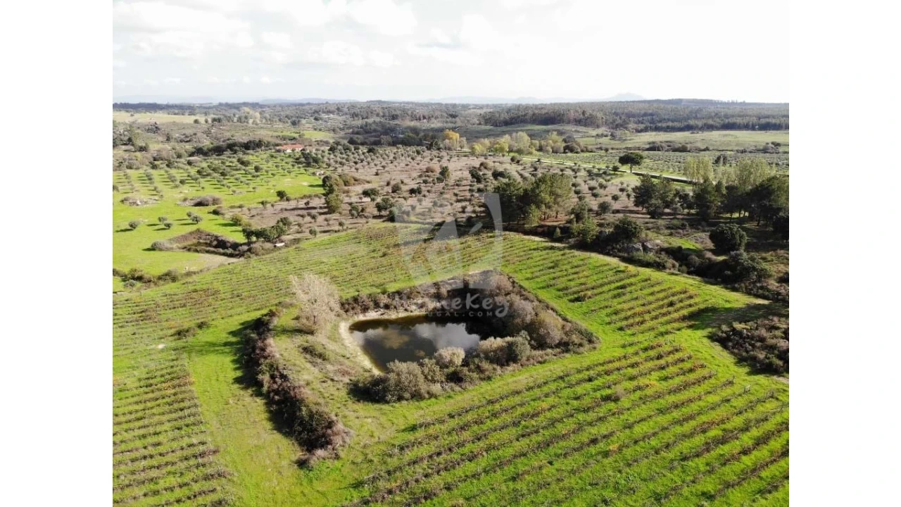 Negócio para Venda em São Miguel de Acha Foto 7