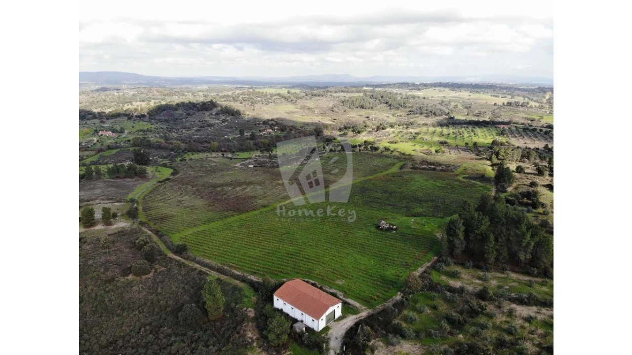 Negócio para Venda em São Miguel de Acha Foto 4