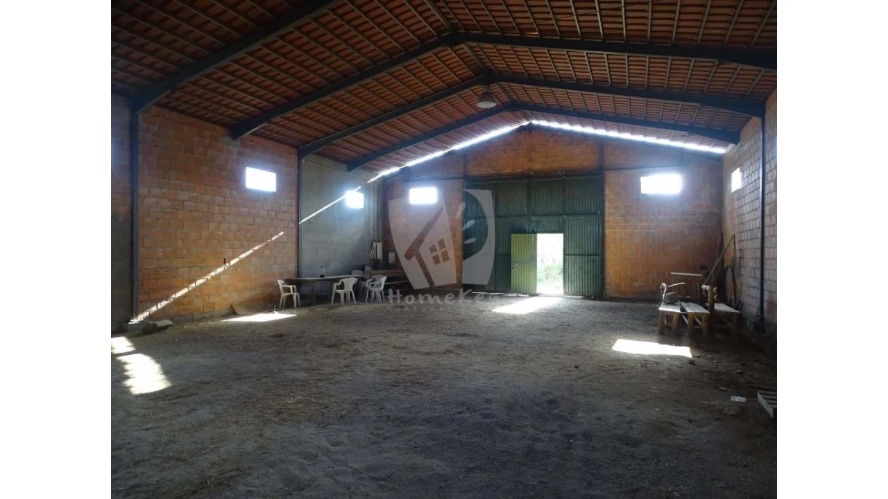 Negócio para Venda em São Miguel de Acha Foto 18