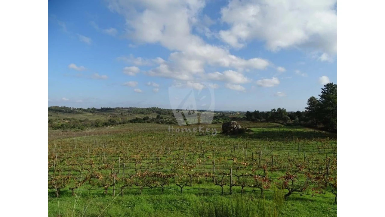 Negócio para Venda em São Miguel de Acha Foto 20