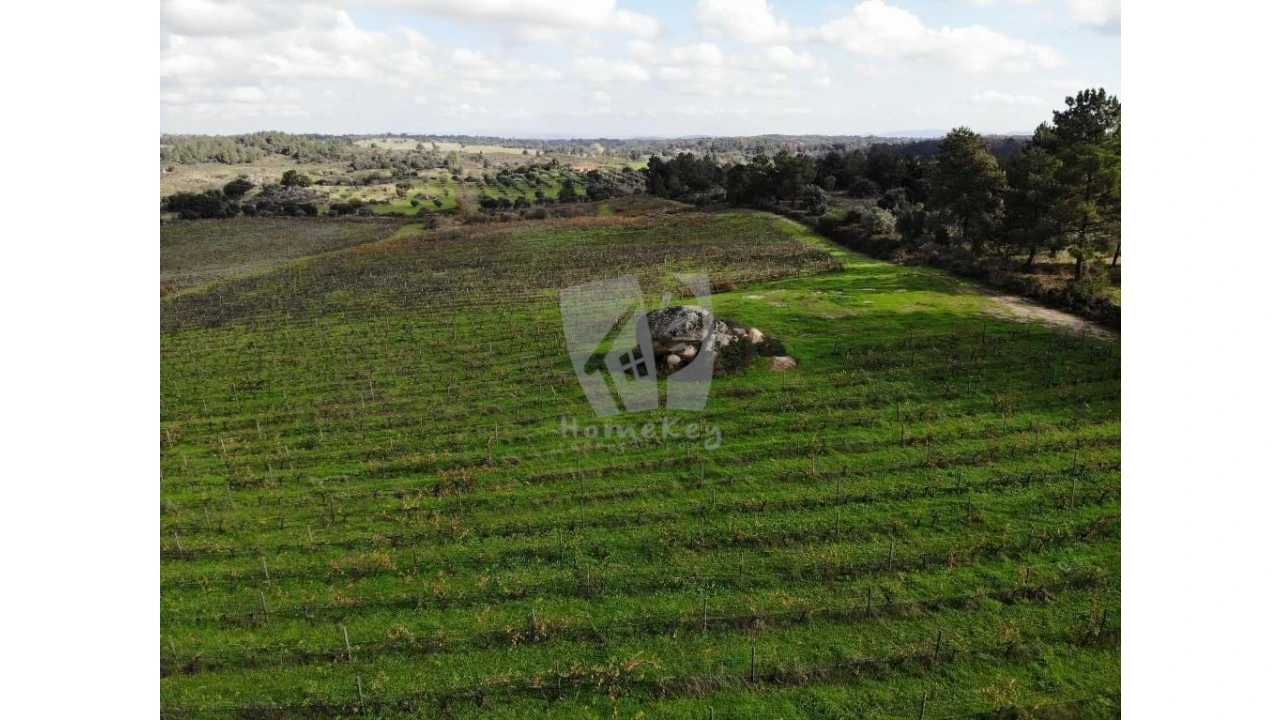 Negócio para Venda em São Miguel de Acha Foto 12