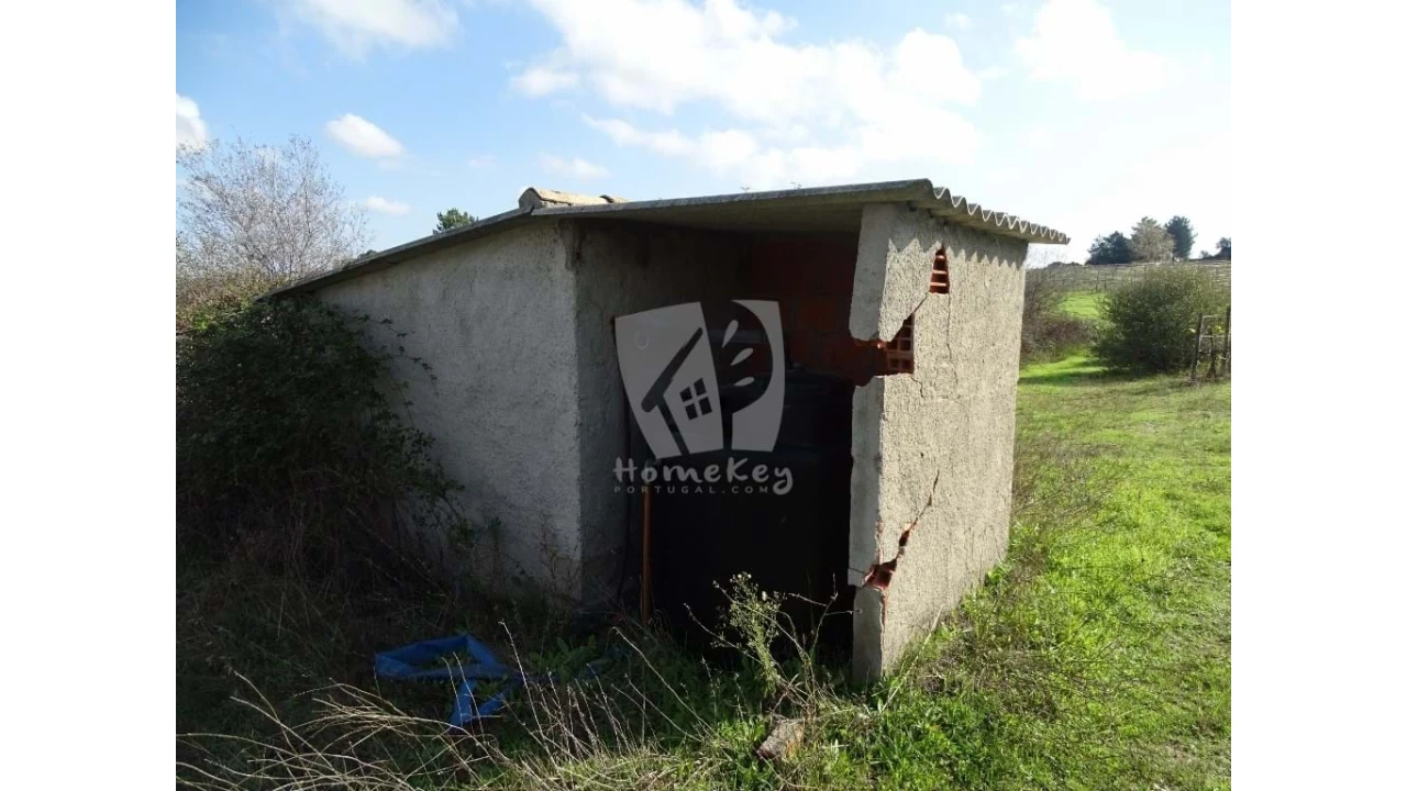 Negócio para Venda em São Miguel de Acha Foto 29