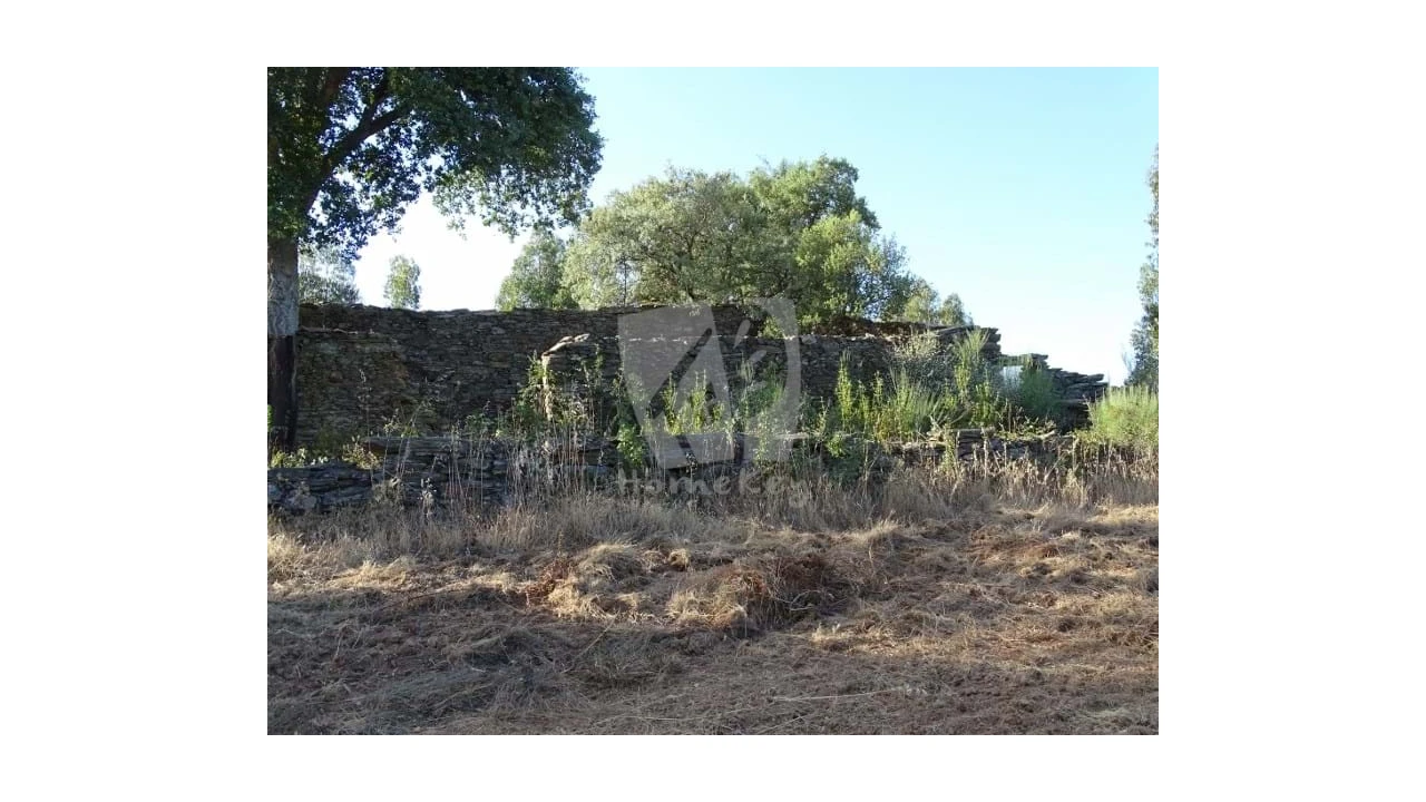 Terreno Agricola ou Rústico para Venda em Proença-A-Velha Foto 1