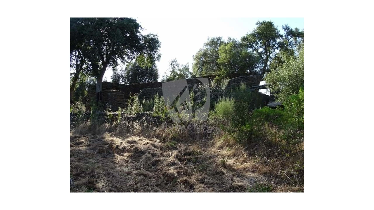 Terreno Agricola ou Rústico para Venda em Proença-A-Velha Foto 25