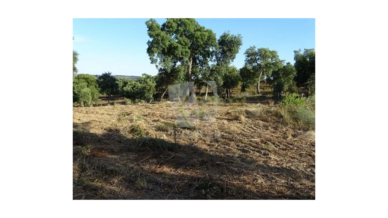 Terreno Agricola ou Rústico para Venda em Proença-A-Velha Foto 29