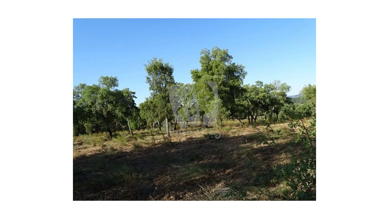 Terreno Agricola ou Rústico para Venda em Proença-A-Velha Foto 4
