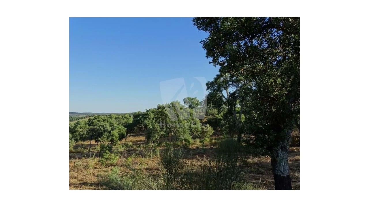Terreno Agricola ou Rústico para Venda em Proença-A-Velha Foto 28