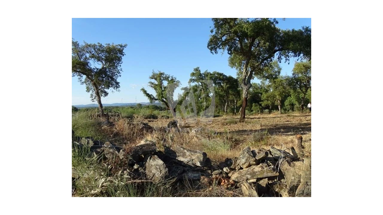 Terreno Agricola ou Rústico para Venda em Proença-A-Velha Foto 35