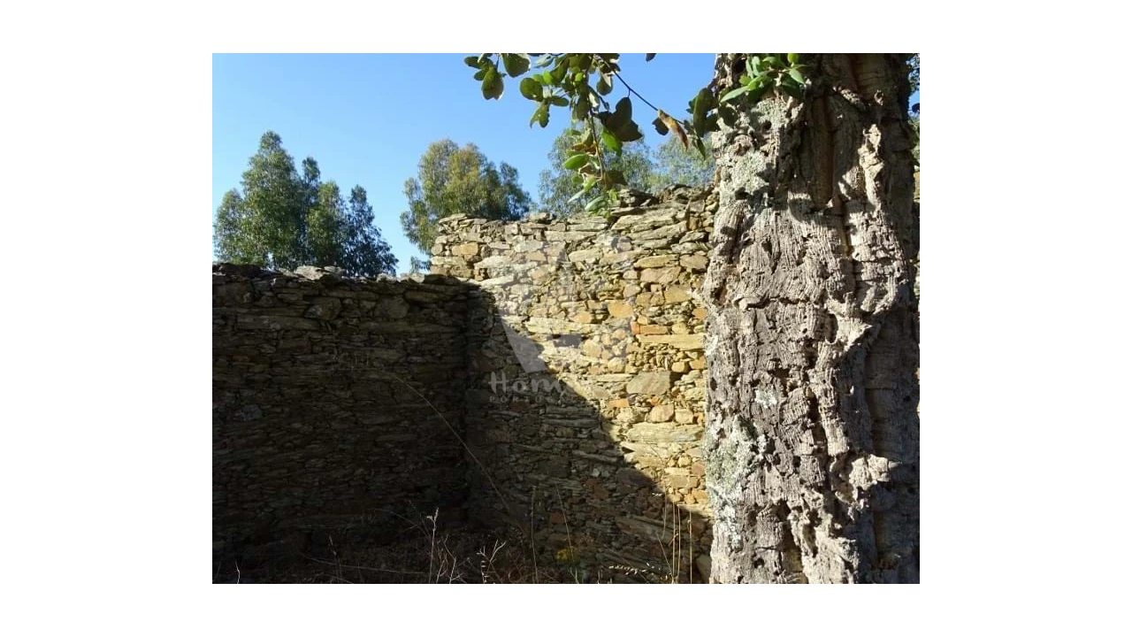 Terreno Agricola ou Rústico para Venda em Proença-A-Velha Foto 20