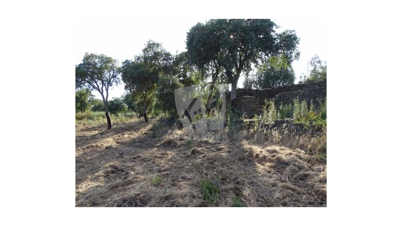 Terreno Agricola ou Rústico para Venda em Proença-A-Velha Foto 26