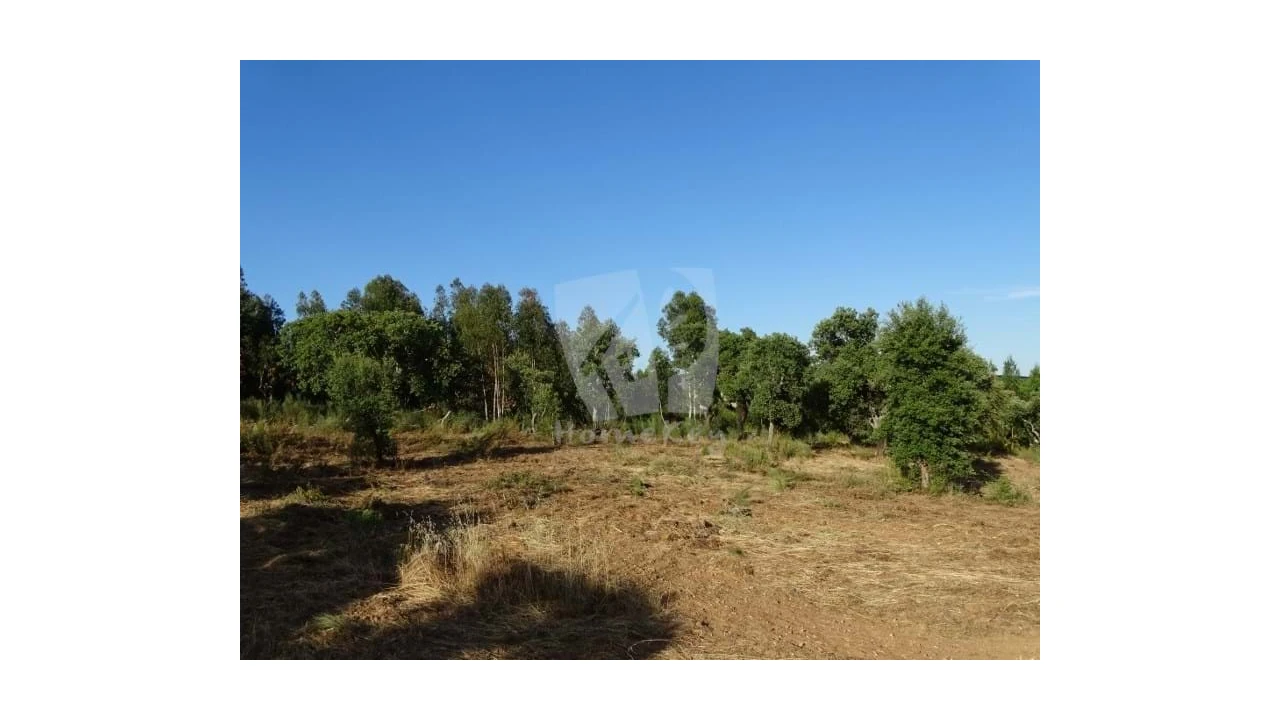 Terreno Agricola ou Rústico para Venda em Proença-A-Velha Foto 15