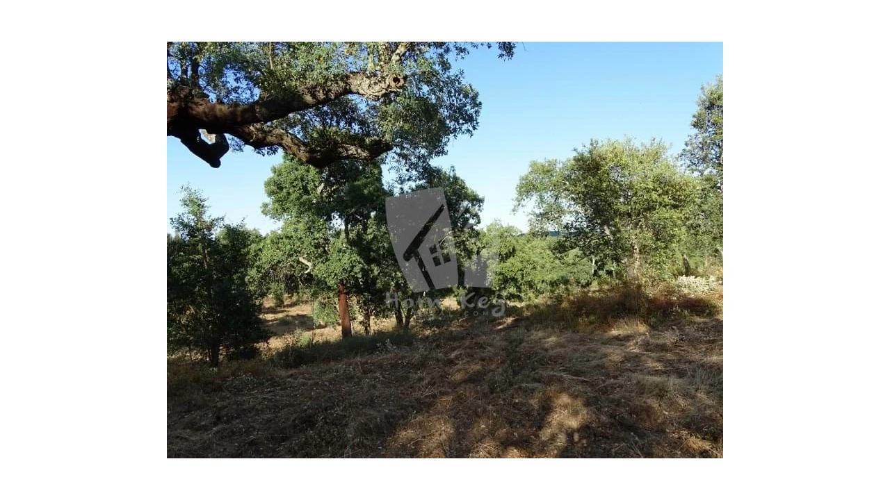 Terreno Agricola ou Rústico para Venda em Proença-A-Velha Foto 10