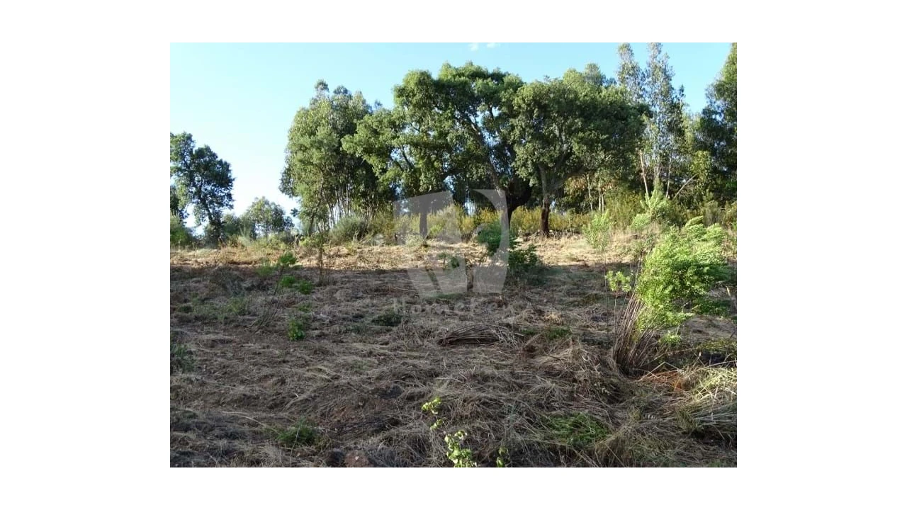 Terreno Agricola ou Rústico para Venda em Proença-A-Velha Foto 17
