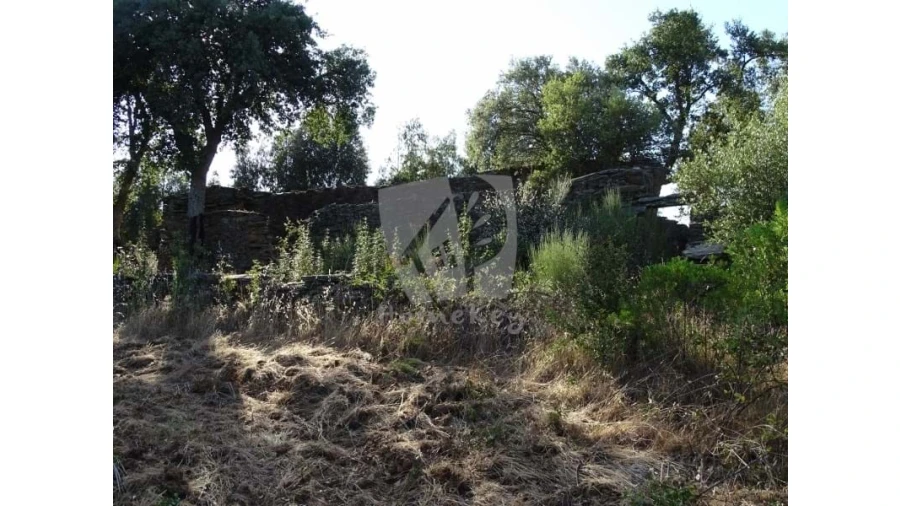 Terreno Agricola ou Rústico para Venda em Proença-A-Velha Foto 25