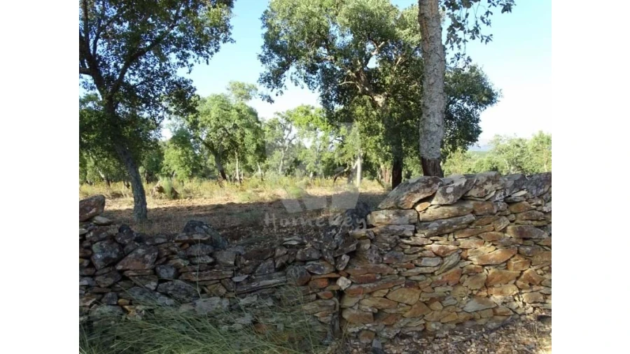 Terreno Agricola ou Rústico para Venda em Proença-A-Velha Foto 3