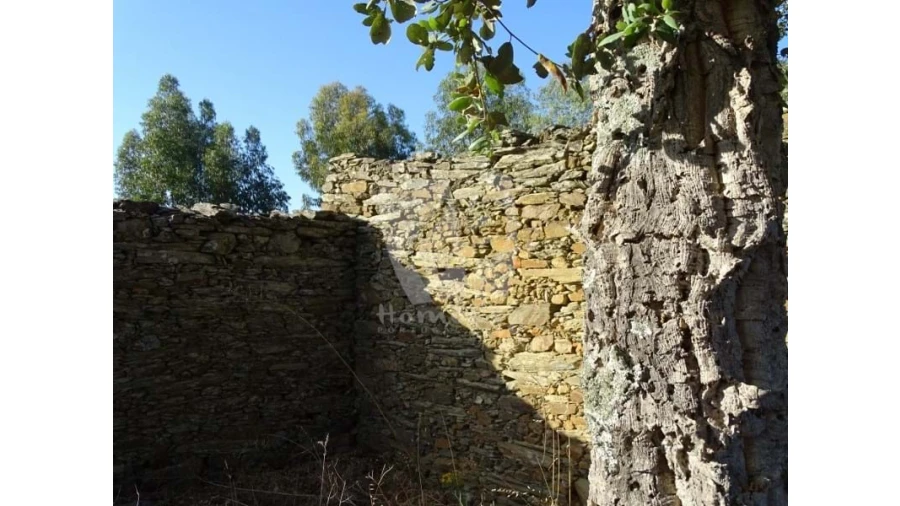 Terreno Agricola ou Rústico para Venda em Proença-A-Velha Foto 20