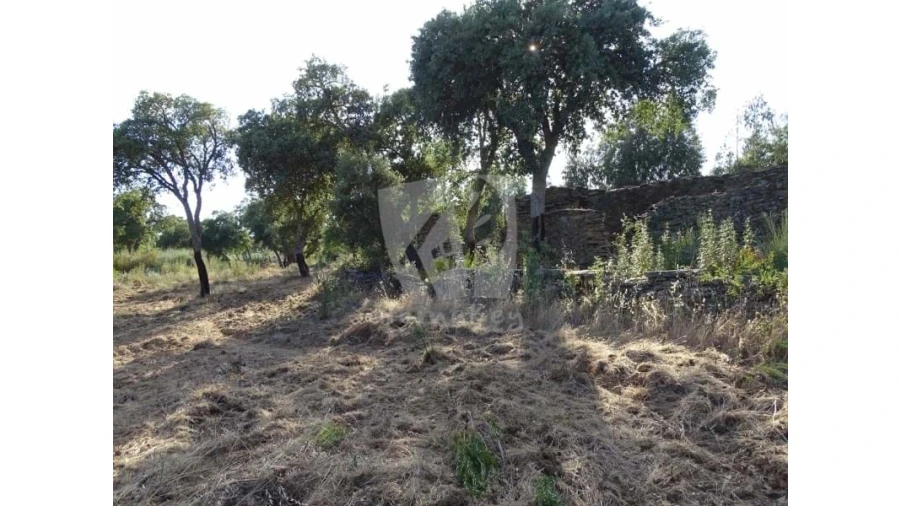 Terreno Agricola ou Rústico para Venda em Proença-A-Velha Foto 26