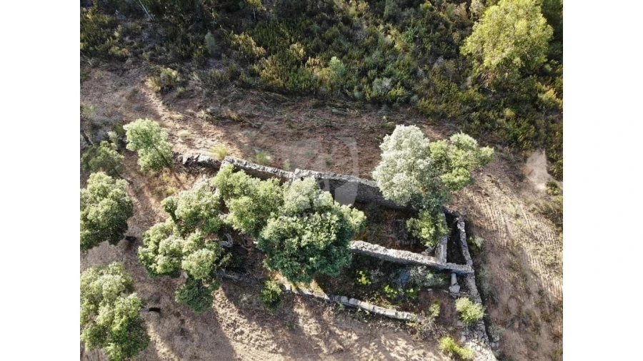 Terreno Agricola ou Rústico para Venda em Proença-A-Velha Foto 46