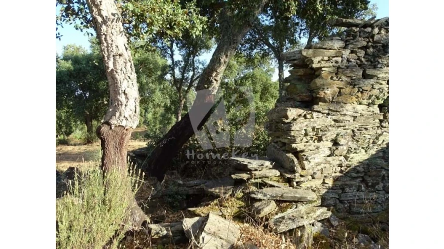 Terreno Agricola ou Rústico para Venda em Proença-A-Velha Foto 24