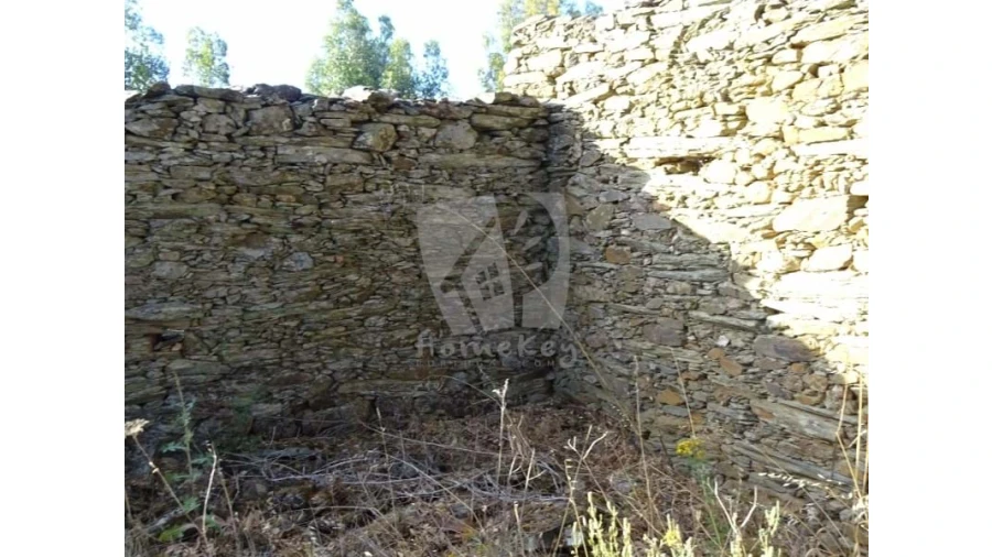 Terreno Agricola ou Rústico para Venda em Proença-A-Velha Foto 22